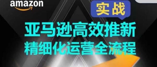 亚马逊高效推新精细化运营全流程，全方位、快速拉升产品排名和销量!-资源社