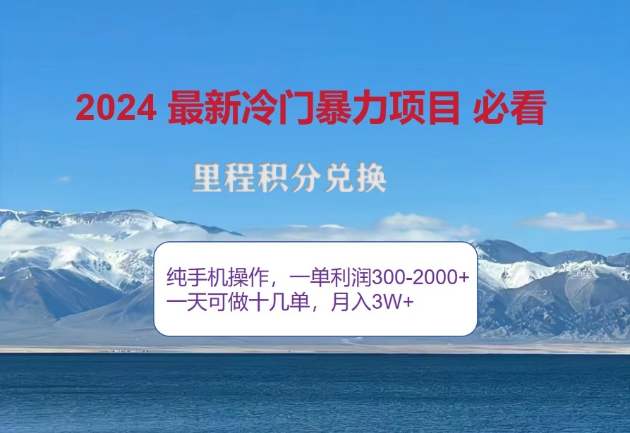 2024惊爆冷门暴利，里程积分最新玩法，高爆发期，一单300+—2000+-资源社