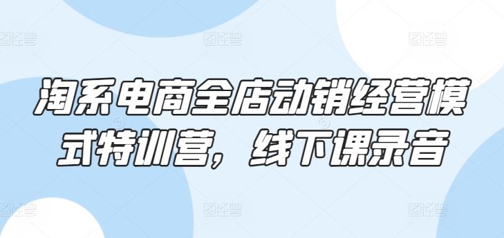 淘系电商全店动销经营模式特训营，线下课录音-资源社