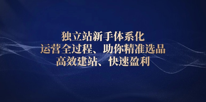 独立站新手体系化 运营全过程，助你精准选品、高效建站、快速盈利-资源社