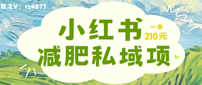 小红书减肥粉，私域变现项目，一单就达210元，小白也能轻松上手【揭秘】-资源社