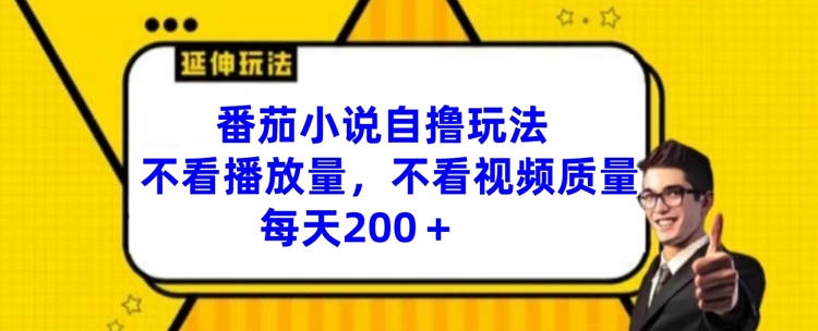 番茄小说自撸玩法，不看播放量，不看视频质量，每天200+【揭秘】-资源社