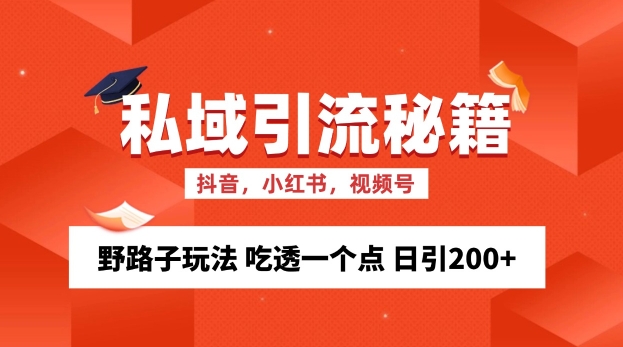 私域流量的精准化获客方法 野路子玩法 吃透一个点 日引200+ 【揭秘】-资源社