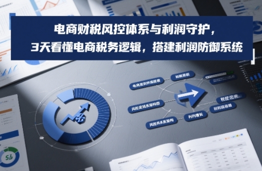 电商财税风控体系与利润守护，3天看懂电商税务逻辑，搭建利润防御系统-资源社