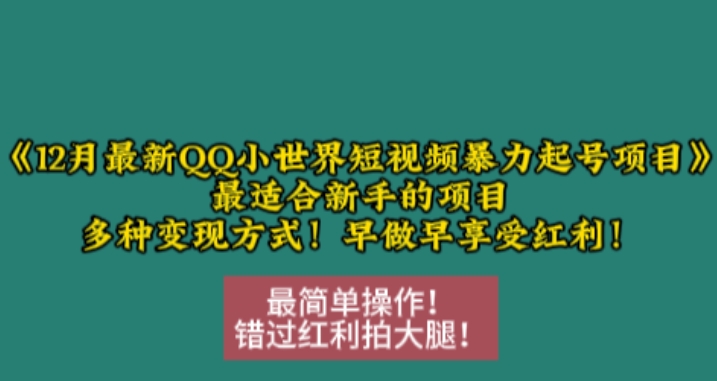 12月最新QQ小世界短视频暴力起号项目，最适合新手的项目，多种变现方式-资源社