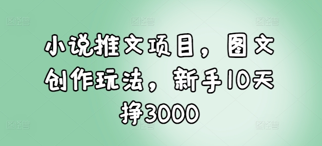 小说推文项目，图文创作玩法，新手10天挣3000-资源社