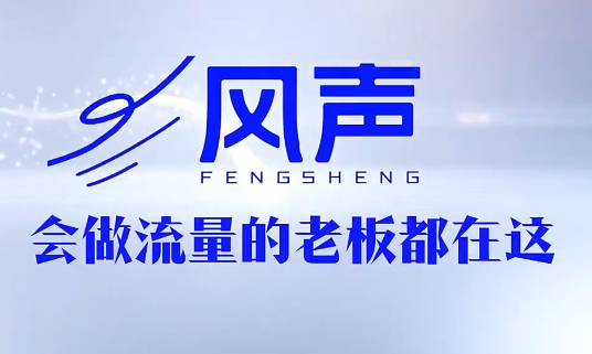 董十一·风声短视频AI获客年度会员-资源社
