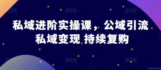 私域进阶实操课，公域引流 私域变现 持续复购-资源社