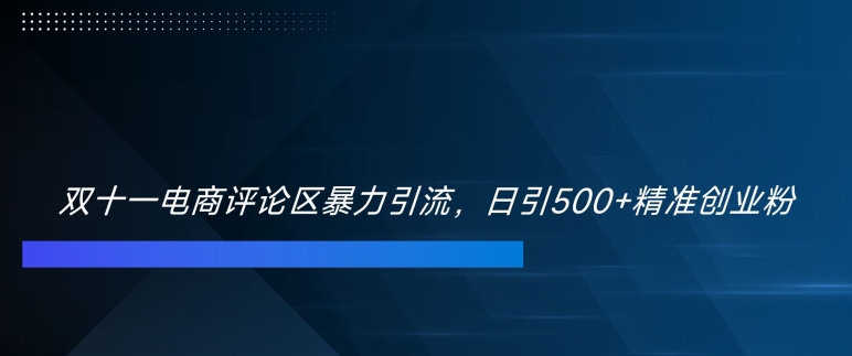 双十一电商评论区暴力引流，日引500+精准创业粉【揭秘】-资源社