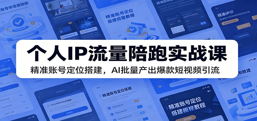 个人IP流量陪跑实战课：精准账号定位搭建，AI批量产出爆款短视频引流-资源社