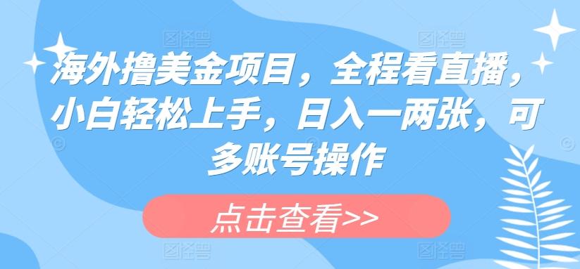 海外撸美金项目，全程看直播，小白轻松上手，日入一两张，可多账号操作【揭秘】-资源社