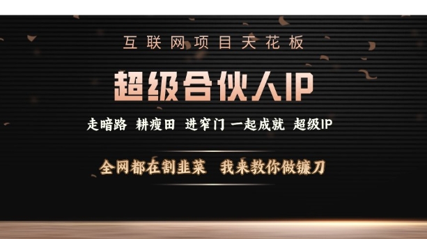 互联网项目天花板，超级合伙人IP，全网都在割韭菜，我来教你做镰刀【仅揭秘】-资源社