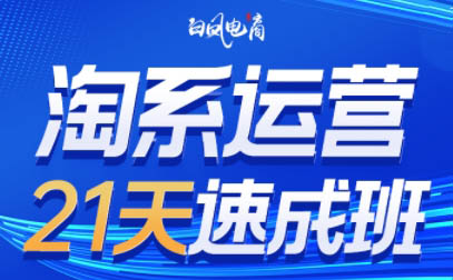 白凤电商·淘系运营21天速成班(更新8月)-资源社