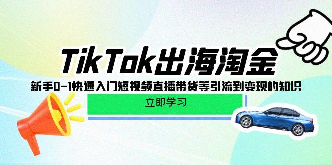 (10035期)TikTok-出海淘金，新手0-1快速入门短视频直播带货等引流到变现的知识-资源社