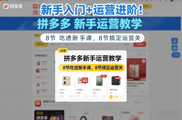 新手入门+运营进阶！拼多多新手运营教学，8节吃透新手课，8节搞定运营关-资源社